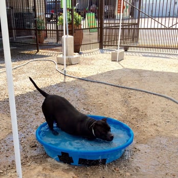 Riverside Kennel - Summer fun. - Pet Groomers Near Me - Fort Worth, Texas Riverside Kennel - Summer fun. - Pet Groomers Near Me - Fort Worth, Texas