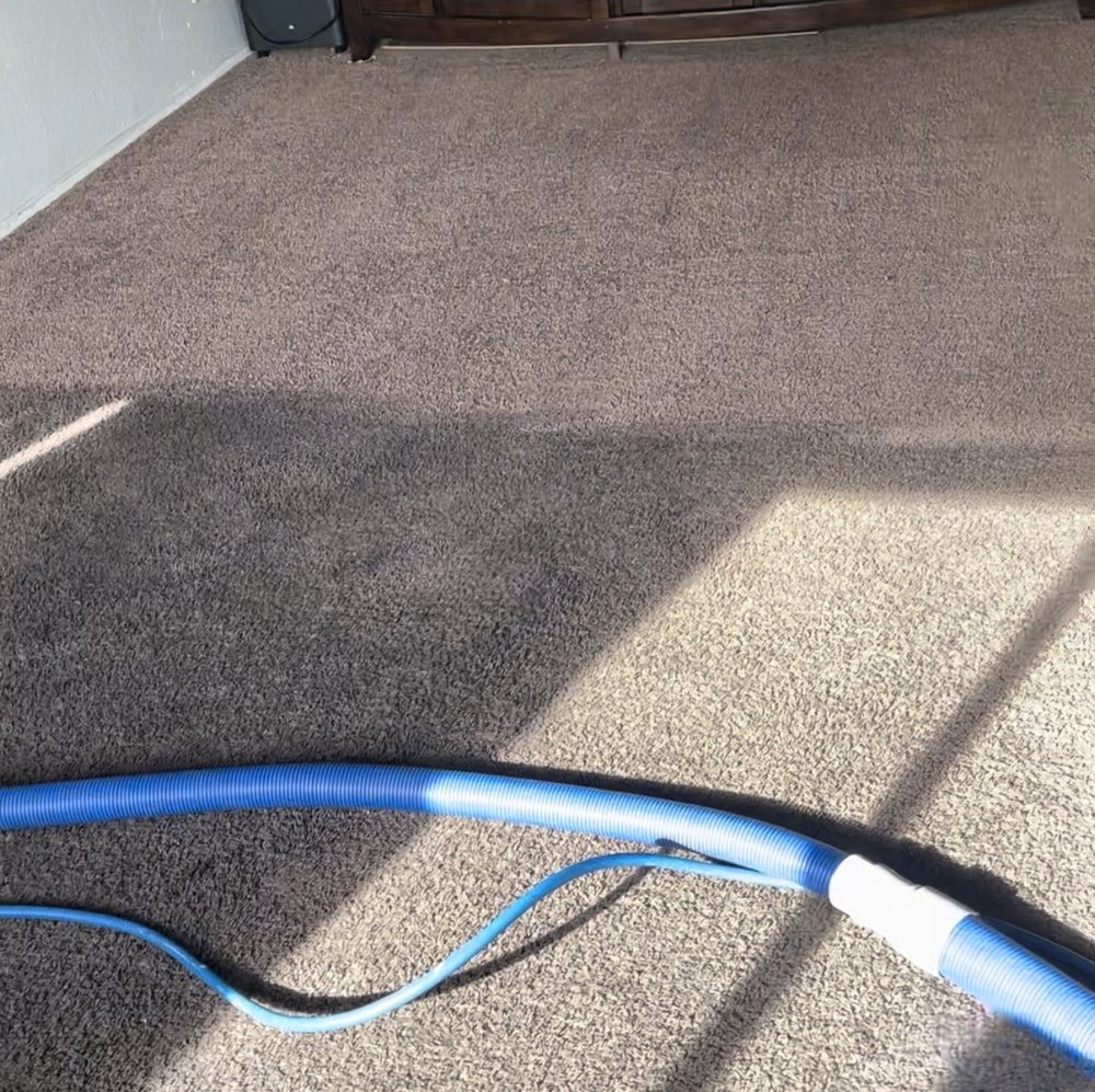 CARPET AND JANITORIAL J & J 57 Photos 34855 Wabash River Pl