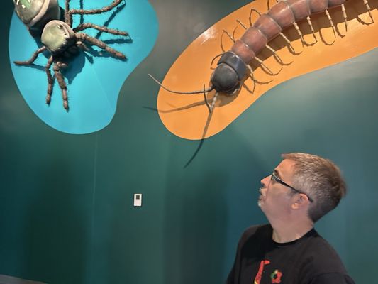 Audubon Insectarium by null