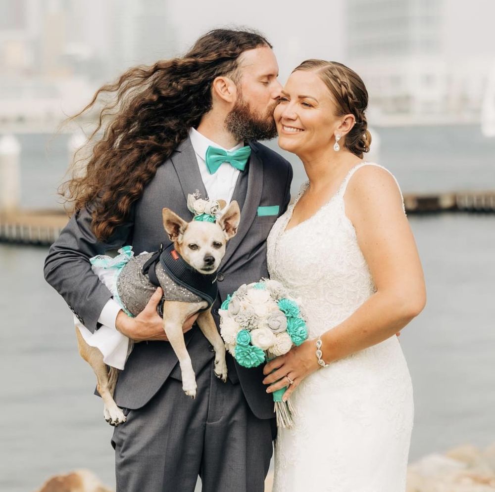 Shades Tan Solana Beach Logo