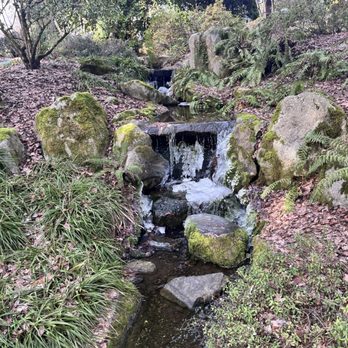 Bellevue Botanical Garden - Mini falls - Botanical Gardens Near Me - Bellevue, Washington