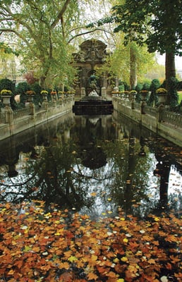 Medici Fountain by null