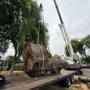 Photo of Navarro Maintenance and Tree Service