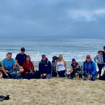 Thriving Canine - Beach Class 9/9/23 - Pet Training Near Me Thriving Canine - Beach Class 9/9/23 - Pet Training Near Me