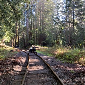 Skunk Train - Riding through the redwoods! Incredible! - Tours Near Me - Fort Bragg, California Skunk Train - Riding through the redwoods! Incredible! - Tours Near Me - Fort Bragg, California