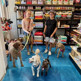 Fido & Stitch - Pet Stores Near Me - Rockford, Michigan Fido & Stitch - Pet Stores Near Me - Rockford, Michigan
