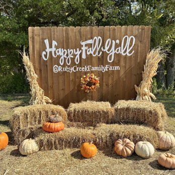 Ruby Creek Family Farm - Another photo-op - Attraction Farms Near Me - Aurora, Texas Ruby Creek Family Farm - Another photo-op - Attraction Farms Near Me - Aurora, Texas