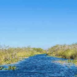 Airboat Rides MIami