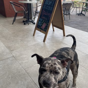 The Coffee Class - Coffee & Tea Near Me - Las Vegas, Nevada The Coffee Class - Coffee & Tea Near Me - Las Vegas, Nevada