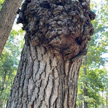 Armco Park - Rare explore - Parks Near Me - Ashland, Kentucky Armco Park - Rare explore - Parks Near Me - Ashland, Kentucky