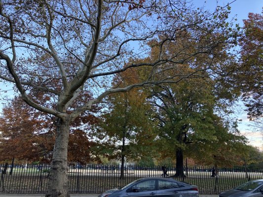 McCarren Park by null McCarren Park by null