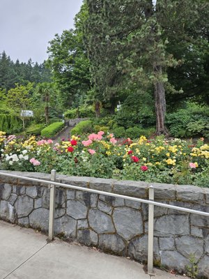 International Rose Test Garden by null