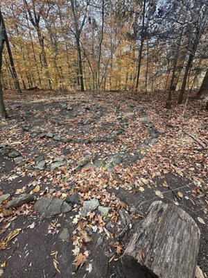 Bowman's Hill Wildflower Preserve by null