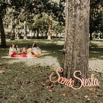 Scenic Siesta - Event Planning & Services Near Me - Savannah, Georgia Scenic Siesta - Event Planning & Services Near Me - Savannah, Georgia