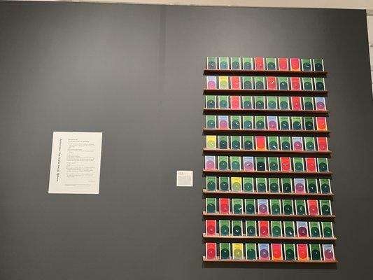 Tampa Museum of Art by null