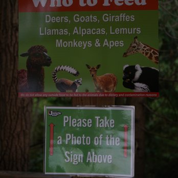 Elmvale Jungle Zoo - Zoos Near Me - Elmvale, Ontario