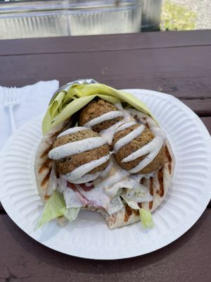 The Greek Gods Gyro by null