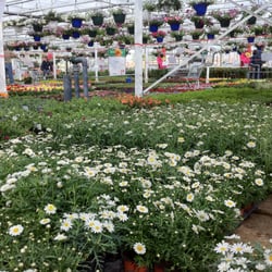 der Blumen Peter
