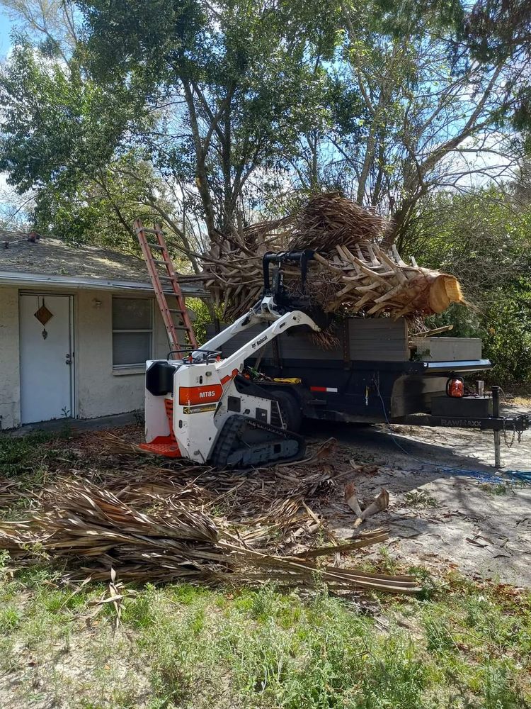 D & B SERVICES Updated August 2024 St. Petersburg, Florida Tree Services Phone Number Yelp