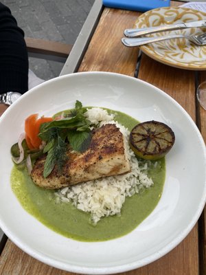 AMARA AT PARAISO - 1902 Photos & 774 Reviews - 3101 NE 7th Ave, Miami