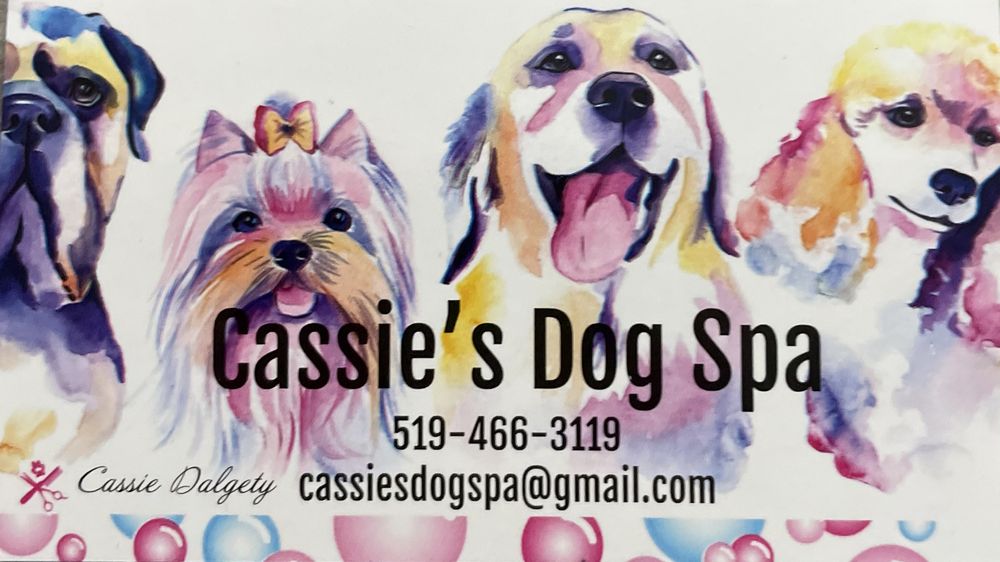 CASSIE’S DOG SPA Updated August 2024 782 Rosedale Avenue, Sarnia