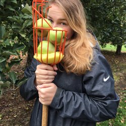 Windy Hill Orchard & Farm Market