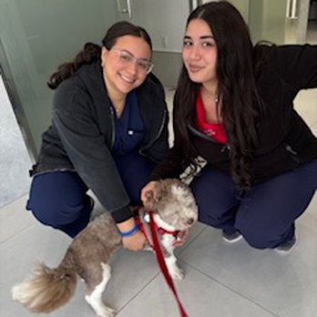 Kendall Pointe Animal Hospital - MistyMoon with the wonderful staff - Veterinarians Near Me - Miami, Florida