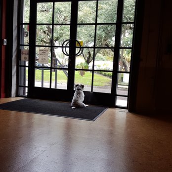 Quantum Leap Winery - Quantum Leap Winery's official greeter. - Party & Event Planning Near Me - Orlando, Florida