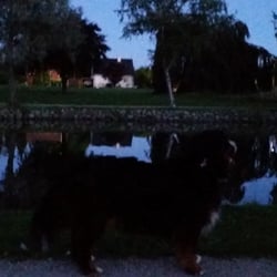 Rebæk Sø - By night