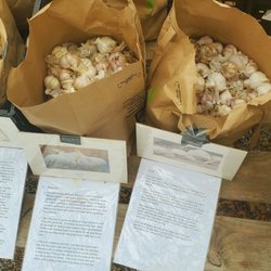 Antioch Urban Growers