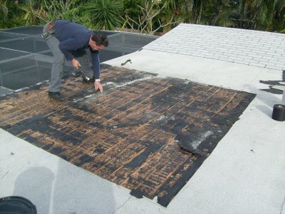 Slide of Tip Top Roofing & Repairs