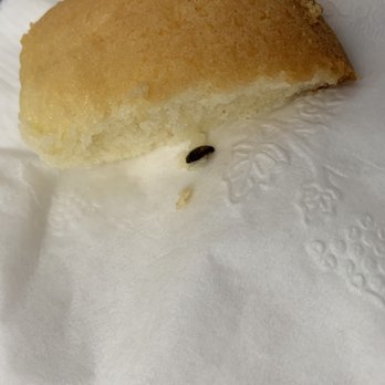 Bosa Donuts - A bug inside my muffin.  Looked like a blueberry so I was curious... - Donuts Near Me - Phoenix, Arizona