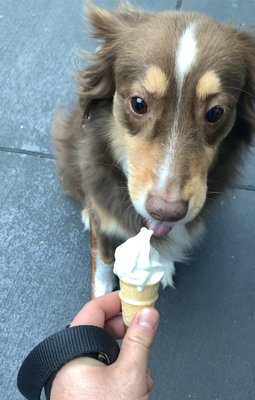 Moooseum Ice Cream