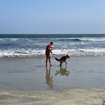 Coronado Dog Beach - Beaches Near Me - Coronado, California Coronado Dog Beach - Beaches Near Me - Coronado, California