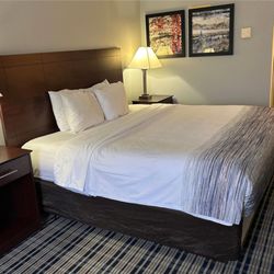 Quality Inn Central Wisconsin Airport - Guest room