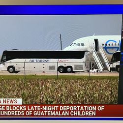 OK Tours - Is this your bus being used to deport children?