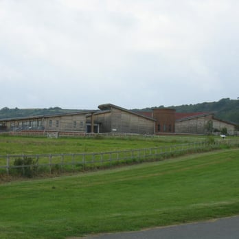 Brading Roman Villa - Local Flavor Near Me - Sandown, IOW