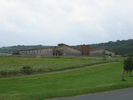 Brading Roman Villa by null