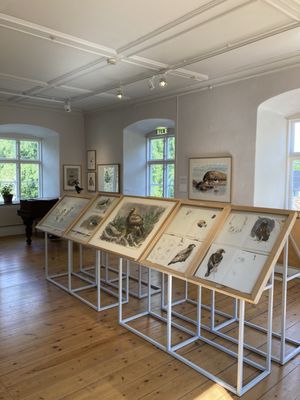 Museum Lars Jonsson by null