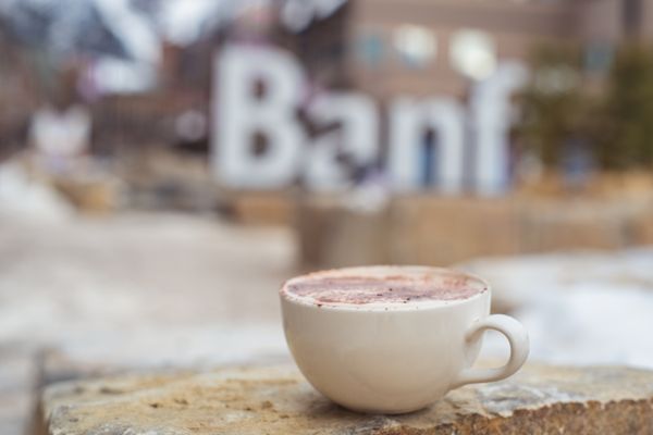 Wild Flour Bakery by null