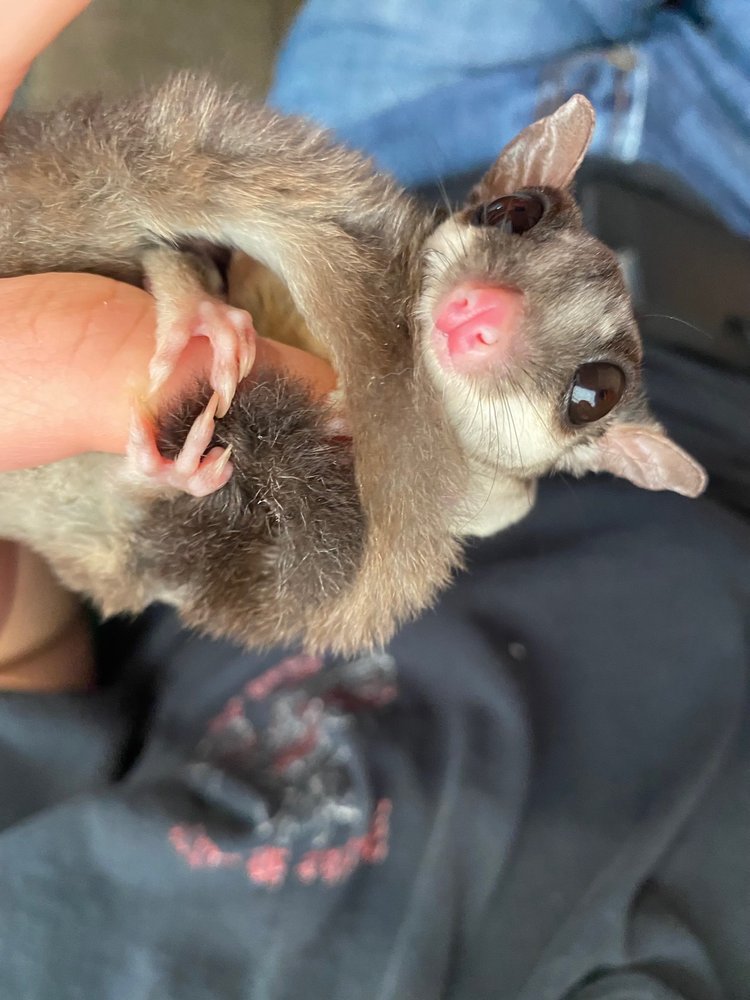 THE SPOILED PET 100 Photos & 14 Reviews 3840 S Kings Hwy, Myrtle