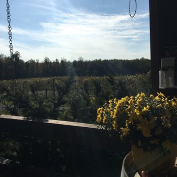 Junius Lindsay Vineyard - Wineries Near Me - Lexington, North Carolina