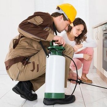 Round 1 Termite and Pest Control - untitled - Pest Control Near Me Round 1 Termite and Pest Control - untitled - Pest Control Near Me