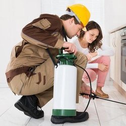 Round 1 Termite and Pest Control - untitled