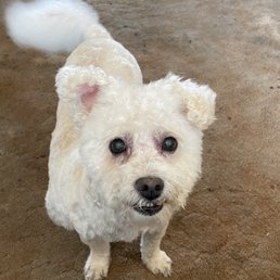 Nahla says, "Thanks, William! I feel a LOT better!"