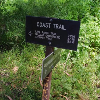 Palomarin Trailhead - Go straight towards Coast Trail to get to the falls (May 2014) - Parks Near Me - Bolinas, California
