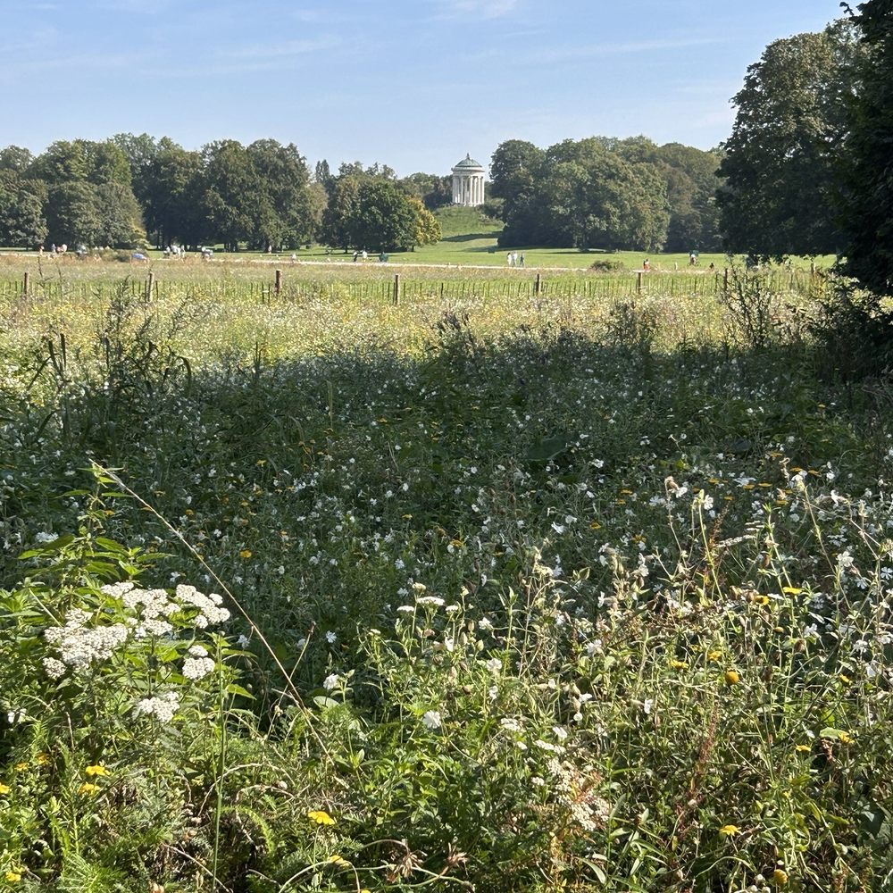 Englischer Garten - Parks Near Me - Munich, BY Englischer Garten - Parks Near Me - Munich, BY