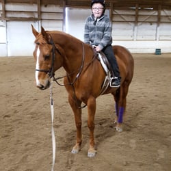 PJM Equestrian