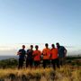 Photo of Oahu Tree Works