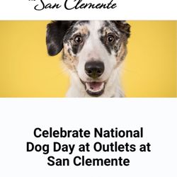 Celebrate the Dog